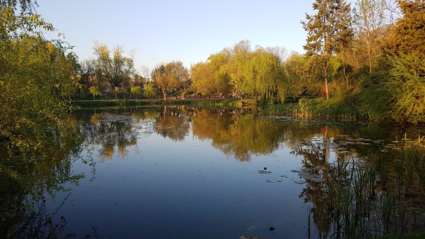  - 2017 TEL VLAD PODGORIA AVINCIA SI CASA ROMANEASCA