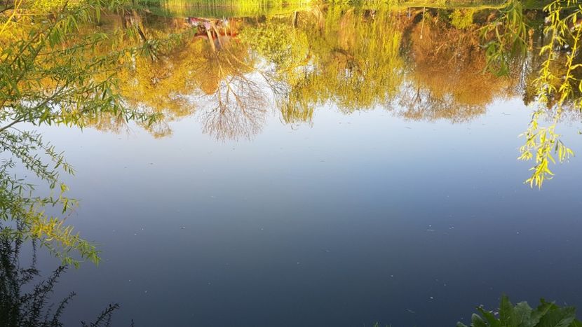  - 2017 TEL VLAD PODGORIA AVINCIA SI CASA ROMANEASCA