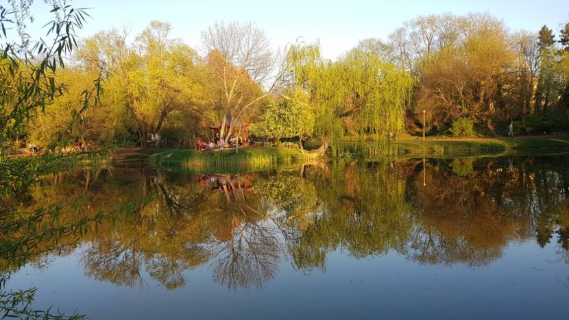  - 2017 TEL VLAD PODGORIA AVINCIA SI CASA ROMANEASCA