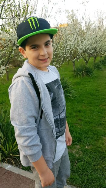  - 2017 TEL VLAD PODGORIA AVINCIA SI CASA ROMANEASCA