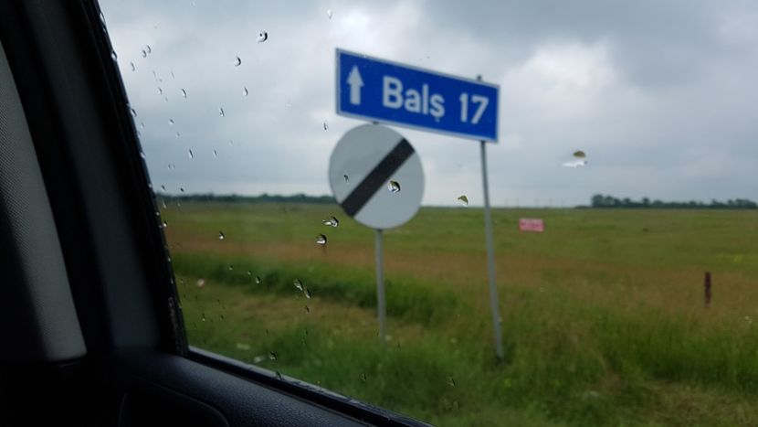  - 2017 TEL VLAD PODGORIA AVINCIA SI CASA ROMANEASCA