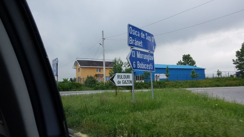  - 2017 TEL VLAD PODGORIA AVINCIA SI CASA ROMANEASCA