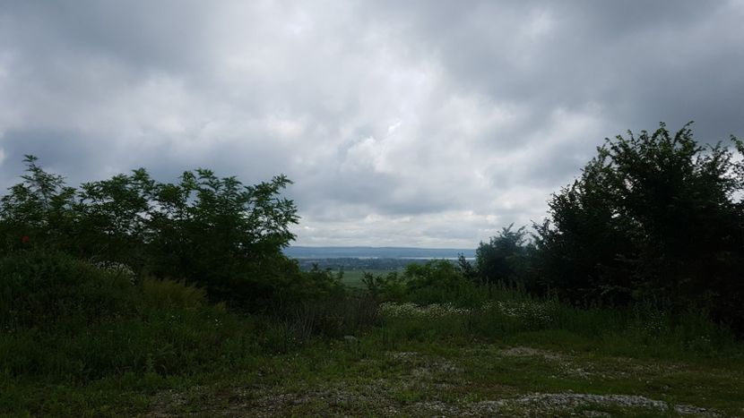  - 2017 TEL VLAD PODGORIA AVINCIA SI CASA ROMANEASCA