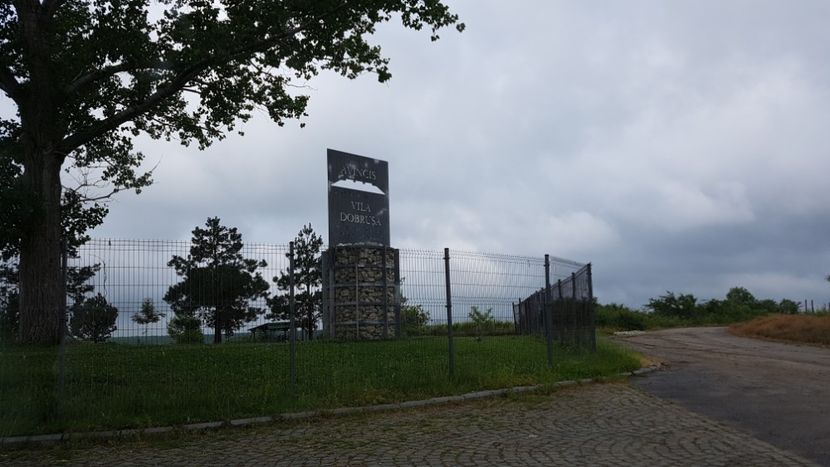  - 2017 TEL VLAD PODGORIA AVINCIA SI CASA ROMANEASCA