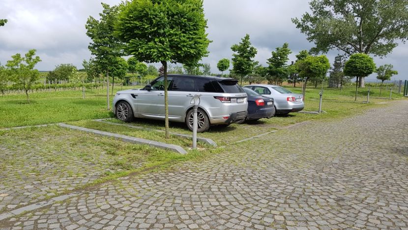  - 2017 TEL VLAD PODGORIA AVINCIA SI CASA ROMANEASCA