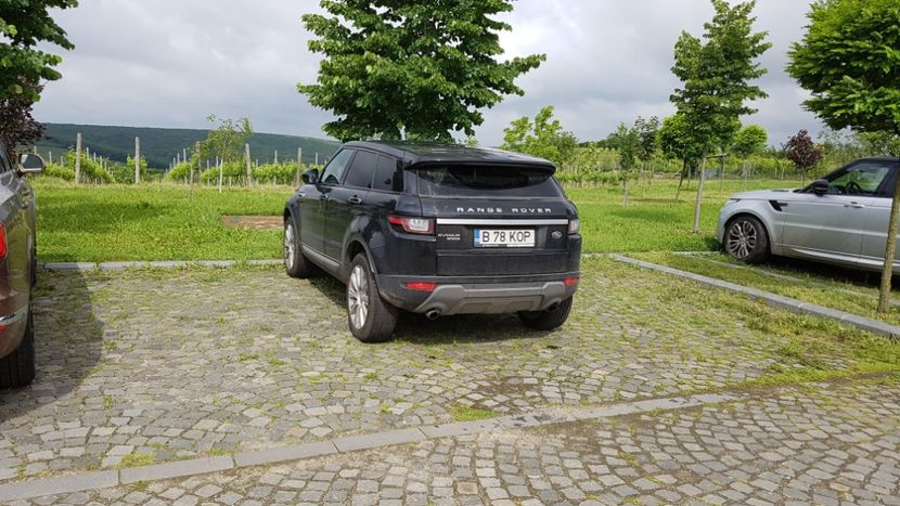  - 2017 TEL VLAD PODGORIA AVINCIA SI CASA ROMANEASCA