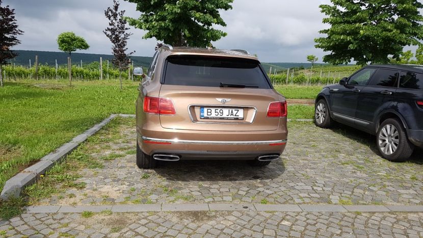  - 2017 TEL VLAD PODGORIA AVINCIA SI CASA ROMANEASCA