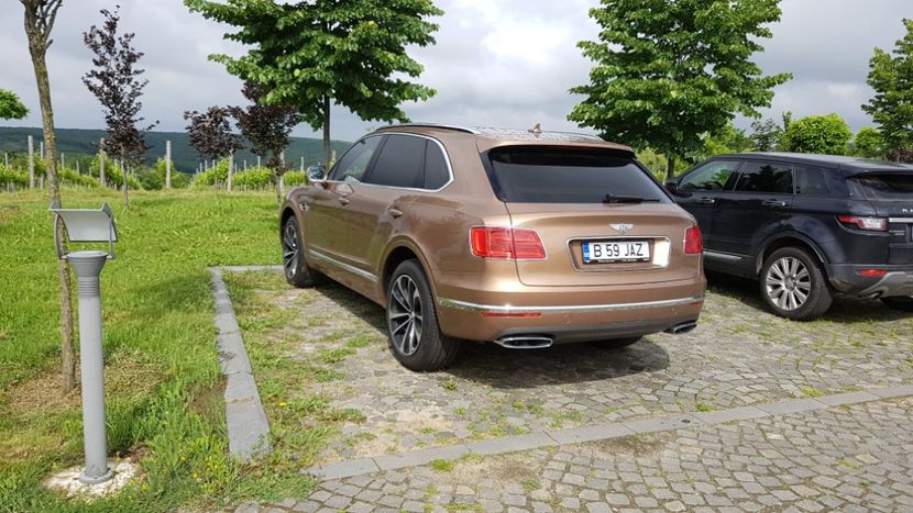  - 2017 TEL VLAD PODGORIA AVINCIA SI CASA ROMANEASCA