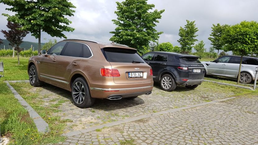  - 2017 TEL VLAD PODGORIA AVINCIA SI CASA ROMANEASCA