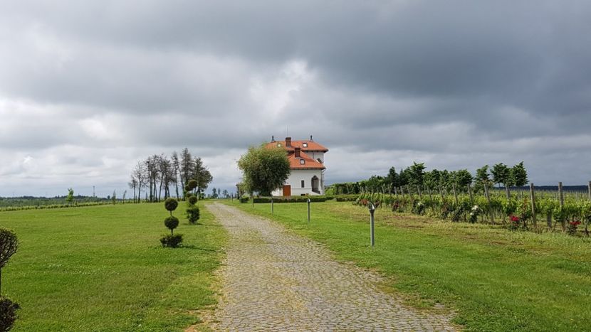  - 2017 TEL VLAD PODGORIA AVINCIA SI CASA ROMANEASCA