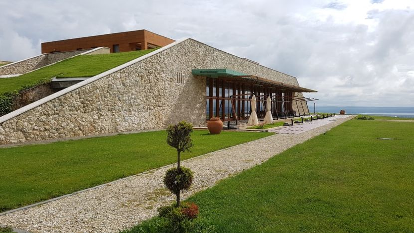  - 2017 TEL VLAD PODGORIA AVINCIA SI CASA ROMANEASCA