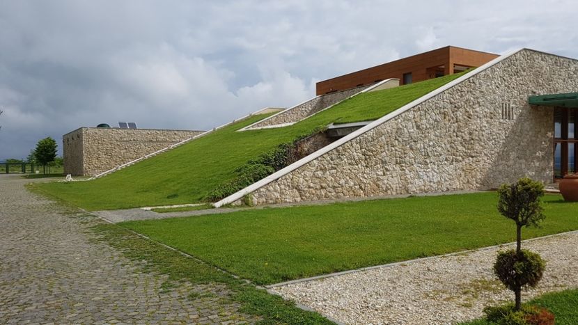  - 2017 TEL VLAD PODGORIA AVINCIA SI CASA ROMANEASCA