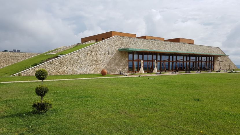  - 2017 TEL VLAD PODGORIA AVINCIA SI CASA ROMANEASCA