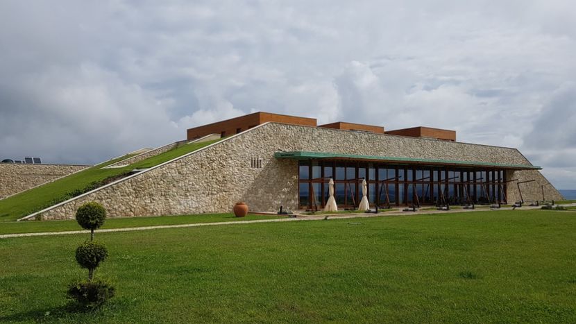  - 2017 TEL VLAD PODGORIA AVINCIA SI CASA ROMANEASCA