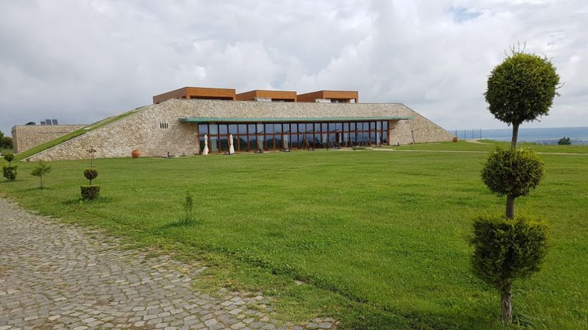  - 2017 TEL VLAD PODGORIA AVINCIA SI CASA ROMANEASCA