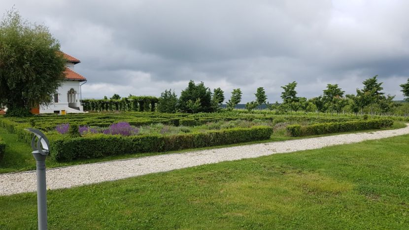  - 2017 TEL VLAD PODGORIA AVINCIA SI CASA ROMANEASCA