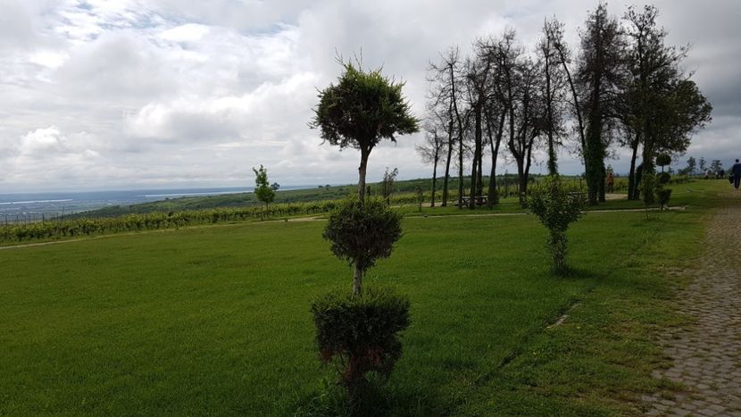  - 2017 TEL VLAD PODGORIA AVINCIA SI CASA ROMANEASCA