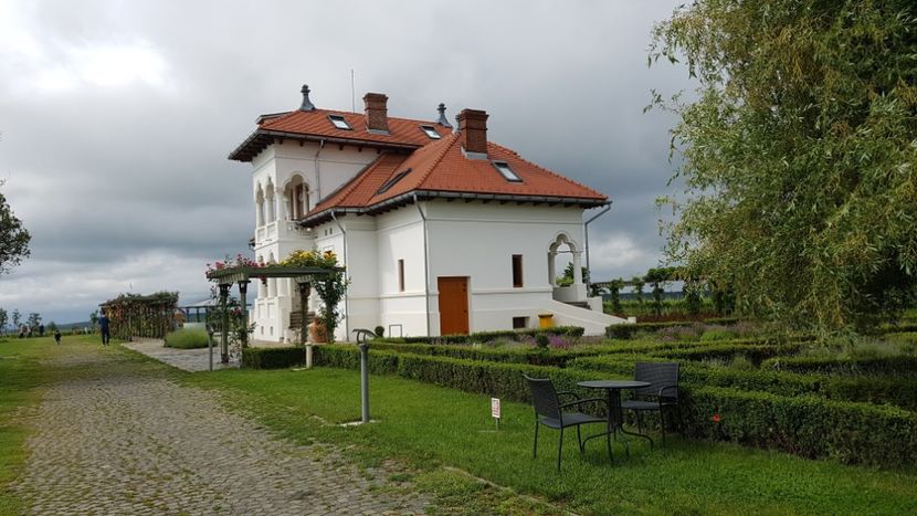  - 2017 TEL VLAD PODGORIA AVINCIA SI CASA ROMANEASCA