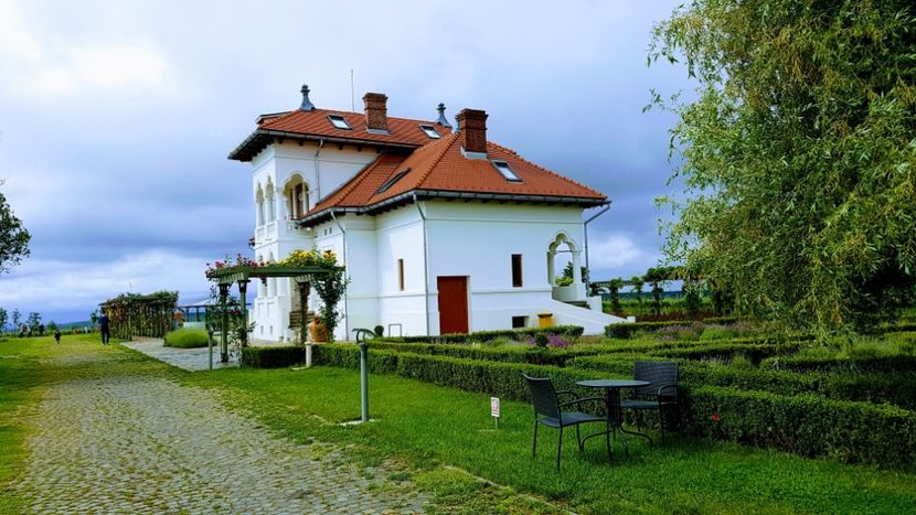 20170527_101345-EFFECTS - 2017 TEL VLAD PODGORIA AVINCIA SI CASA ROMANEASCA