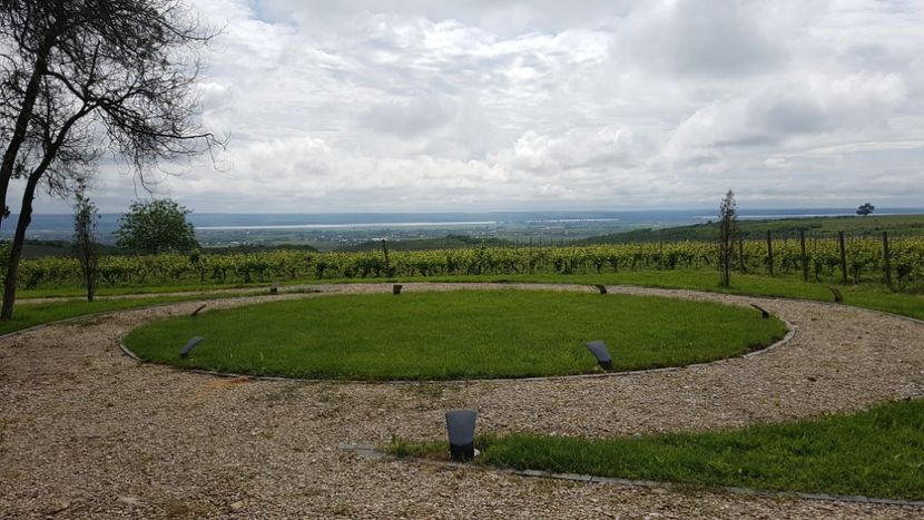  - 2017 TEL VLAD PODGORIA AVINCIA SI CASA ROMANEASCA