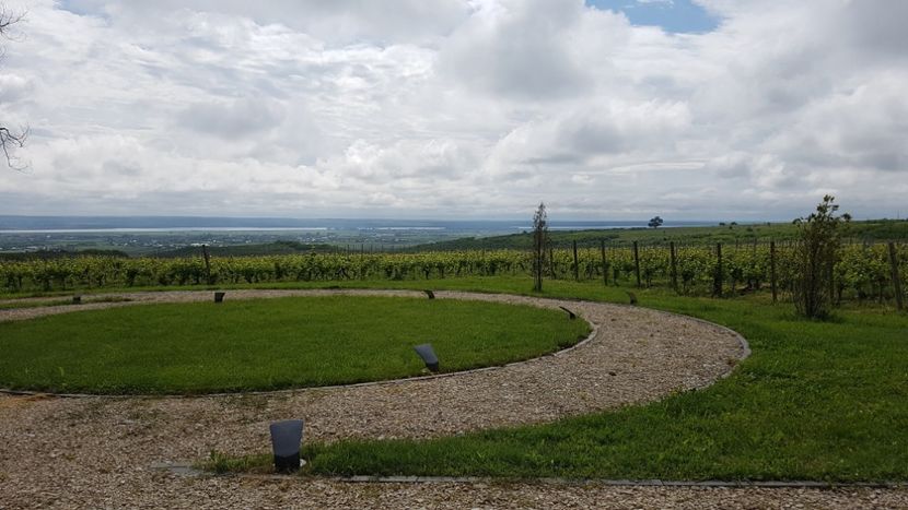  - 2017 TEL VLAD PODGORIA AVINCIA SI CASA ROMANEASCA