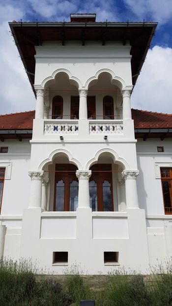  - 2017 TEL VLAD PODGORIA AVINCIA SI CASA ROMANEASCA