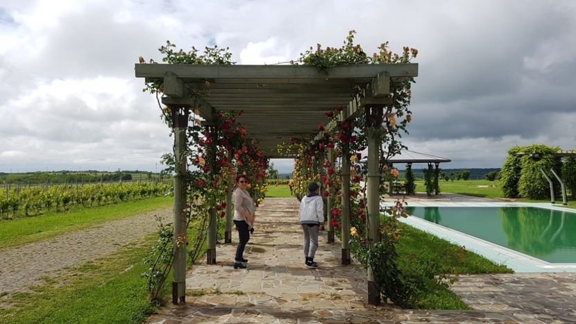  - 2017 TEL VLAD PODGORIA AVINCIA SI CASA ROMANEASCA