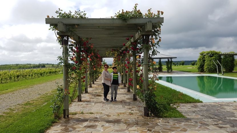 20170527_101544(0) - 2017 TEL VLAD PODGORIA AVINCIA SI CASA ROMANEASCA