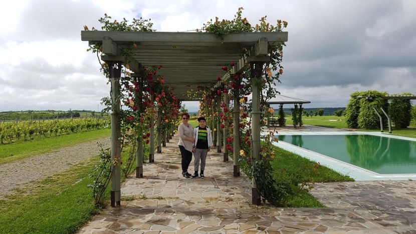  - 2017 TEL VLAD PODGORIA AVINCIA SI CASA ROMANEASCA