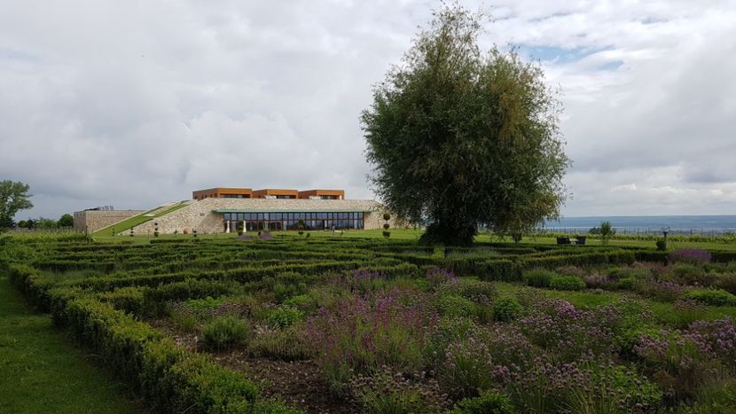  - 2017 TEL VLAD PODGORIA AVINCIA SI CASA ROMANEASCA