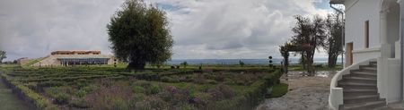 20170527_101751-PANO - 2017 TEL VLAD PODGORIA AVINCIA SI CASA ROMANEASCA
