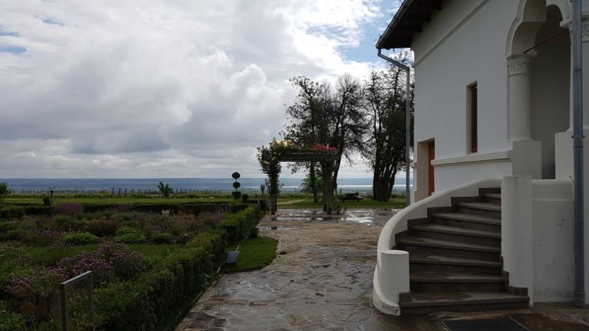  - 2017 TEL VLAD PODGORIA AVINCIA SI CASA ROMANEASCA