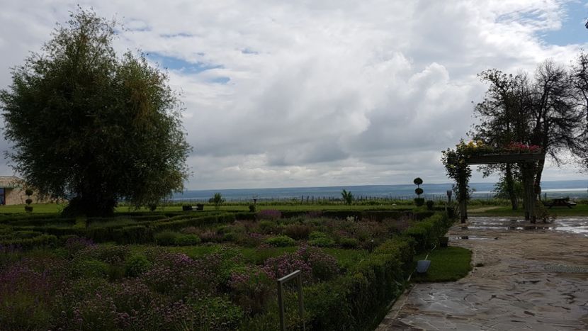  - 2017 TEL VLAD PODGORIA AVINCIA SI CASA ROMANEASCA