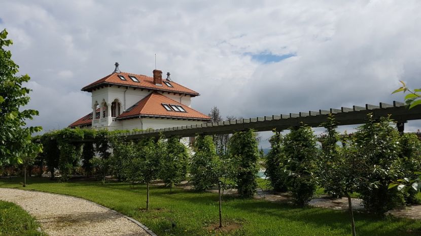  - 2017 TEL VLAD PODGORIA AVINCIA SI CASA ROMANEASCA