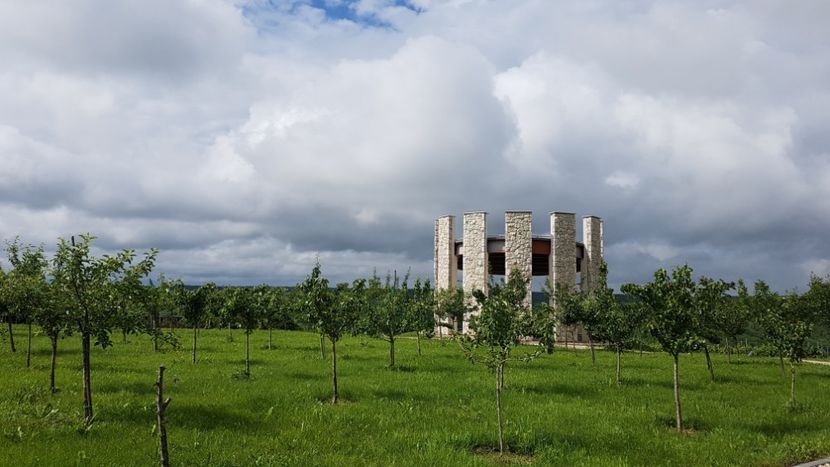  - 2017 TEL VLAD PODGORIA AVINCIA SI CASA ROMANEASCA
