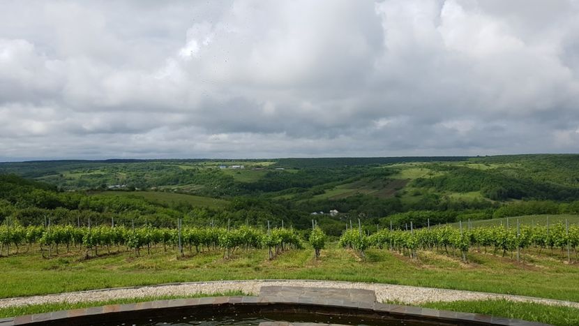  - 2017 TEL VLAD PODGORIA AVINCIA SI CASA ROMANEASCA