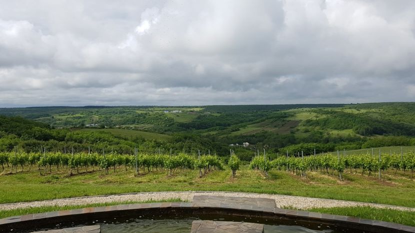  - 2017 TEL VLAD PODGORIA AVINCIA SI CASA ROMANEASCA