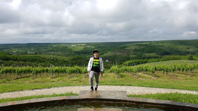  - 2017 TEL VLAD PODGORIA AVINCIA SI CASA ROMANEASCA