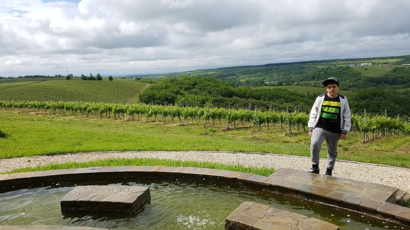  - 2017 TEL VLAD PODGORIA AVINCIA SI CASA ROMANEASCA