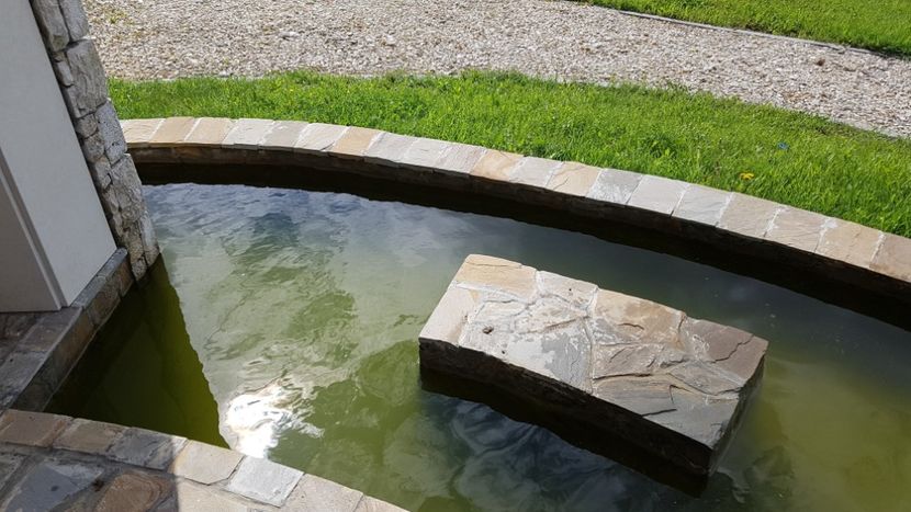  - 2017 TEL VLAD PODGORIA AVINCIA SI CASA ROMANEASCA