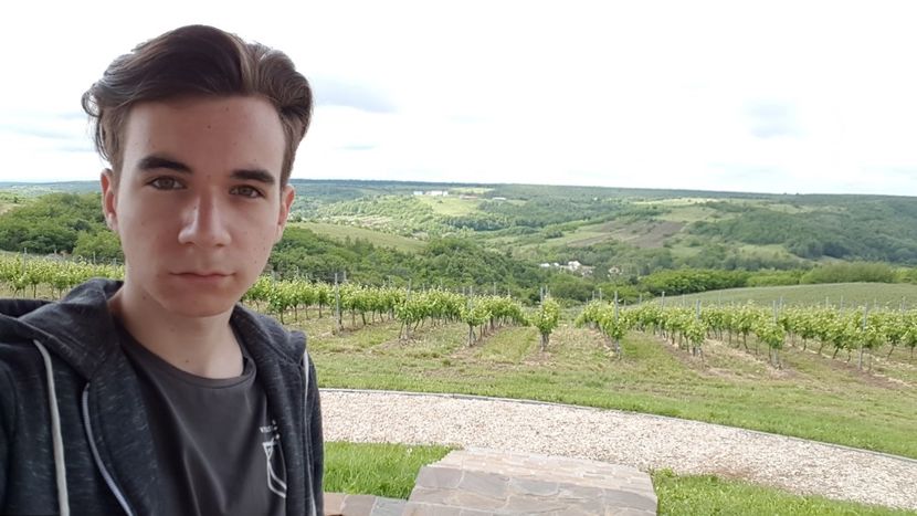  - 2017 TEL VLAD PODGORIA AVINCIA SI CASA ROMANEASCA