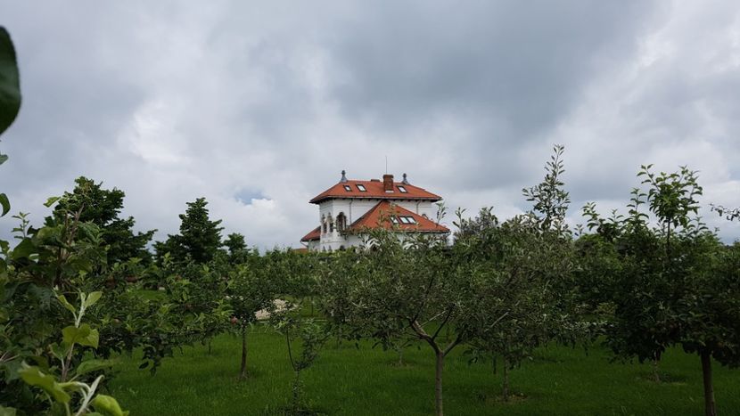  - 2017 TEL VLAD PODGORIA AVINCIA SI CASA ROMANEASCA