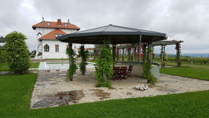  - 2017 TEL VLAD PODGORIA AVINCIA SI CASA ROMANEASCA