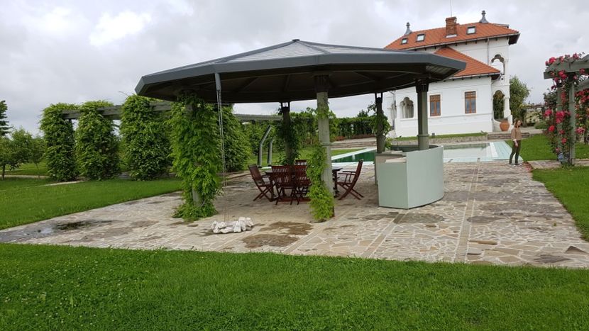  - 2017 TEL VLAD PODGORIA AVINCIA SI CASA ROMANEASCA