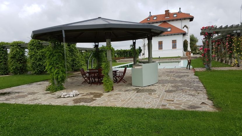  - 2017 TEL VLAD PODGORIA AVINCIA SI CASA ROMANEASCA