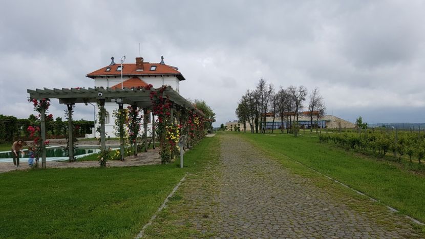  - 2017 TEL VLAD PODGORIA AVINCIA SI CASA ROMANEASCA