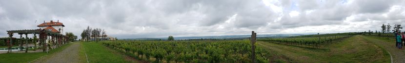  - 2017 TEL VLAD PODGORIA AVINCIA SI CASA ROMANEASCA