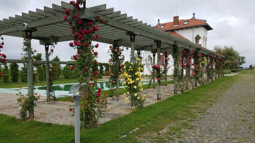  - 2017 TEL VLAD PODGORIA AVINCIA SI CASA ROMANEASCA