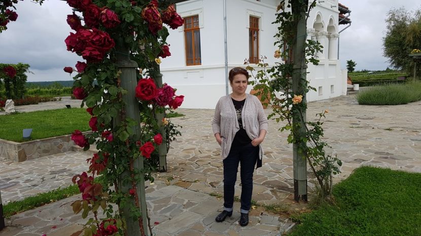  - 2017 TEL VLAD PODGORIA AVINCIA SI CASA ROMANEASCA