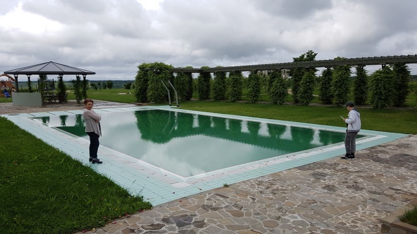  - 2017 TEL VLAD PODGORIA AVINCIA SI CASA ROMANEASCA